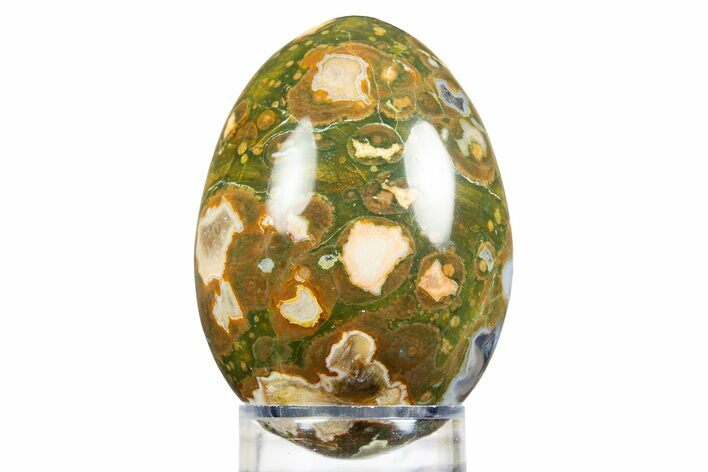 Polished Rainforest Jasper (Rhyolite) Egg - Australia #308864